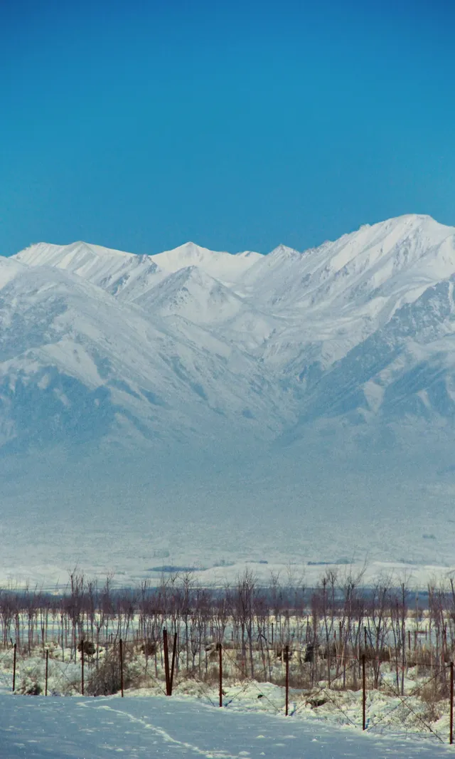 伊犁冬季遊|賽里木湖-庫爾德寧路線參考 伊犁冬季遊|賽里木湖-庫爾德寧路線參考
