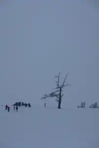 舒適版新疆看雪玩雪攻略…