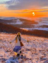 呼倫貝爾秋日漫遊指南:邂逅北國祕境的金色童話