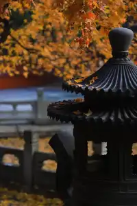 香山！這麼好看你要考研啊？！