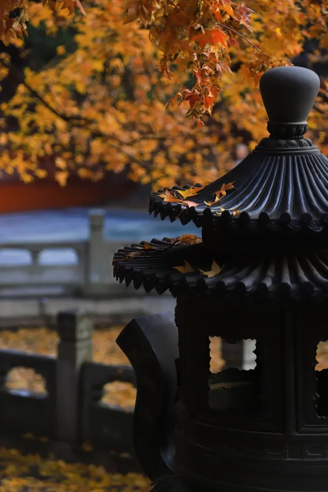 香山！這麼好看你要考研啊？！