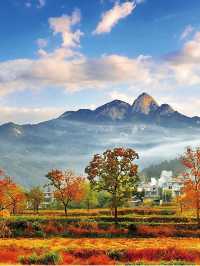 秋遊黃岡包車暢遊超省心攻略