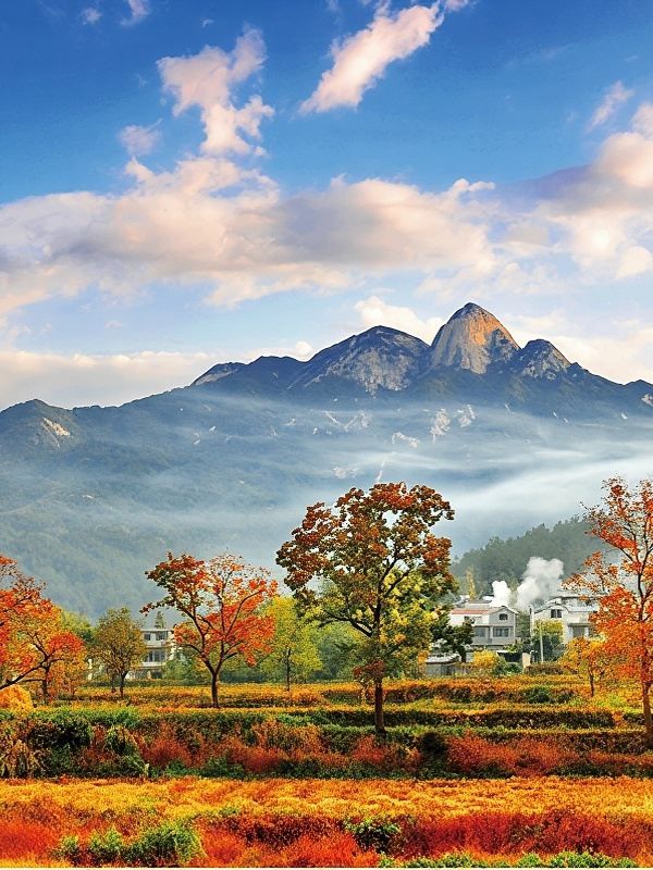 秋遊黃岡包車暢遊超省心攻略