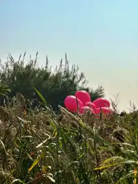 杭州灣濕地公園——承包我對秋冬的所有浪漫