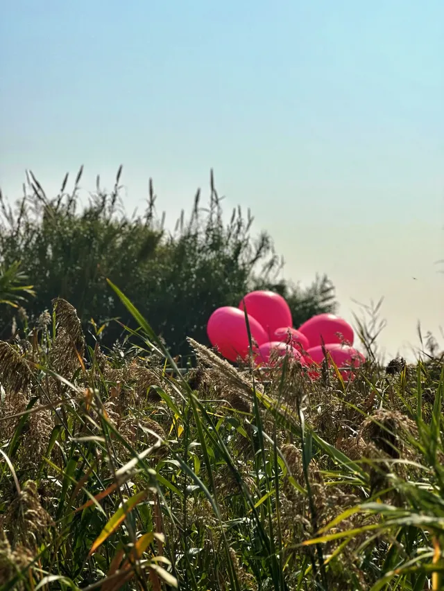 杭州灣濕地公園——承包我對秋冬的所有浪漫 杭州灣濕地公園——承包我對秋冬的所有浪漫