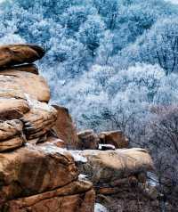 祖山風景區冬日賞雪，銀裝素裹童話世界再現