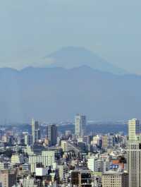 A Relaxing Morning at the Skytree