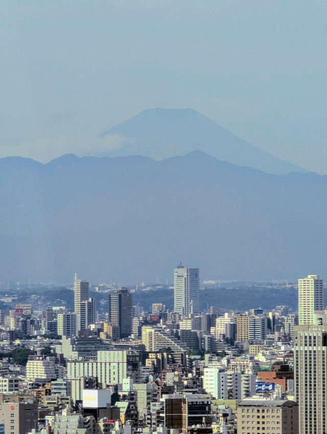 A Relaxing Morning at the Skytree