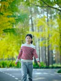 崇明島明珠湖｜秋日私藏的金色童話秘境！