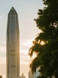 深圳蓮花山冬日親子遊！15分鐘登頂超全攻略