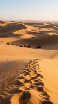 中衛,沙漠、黃河與星空的詩意交響 中衛,寧夏西部的「塞上江南」與「大漠水城」,是黃河唯一穿越騰格里