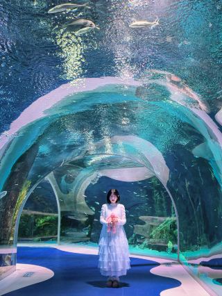 Harbin | Had a blue dream under the sea