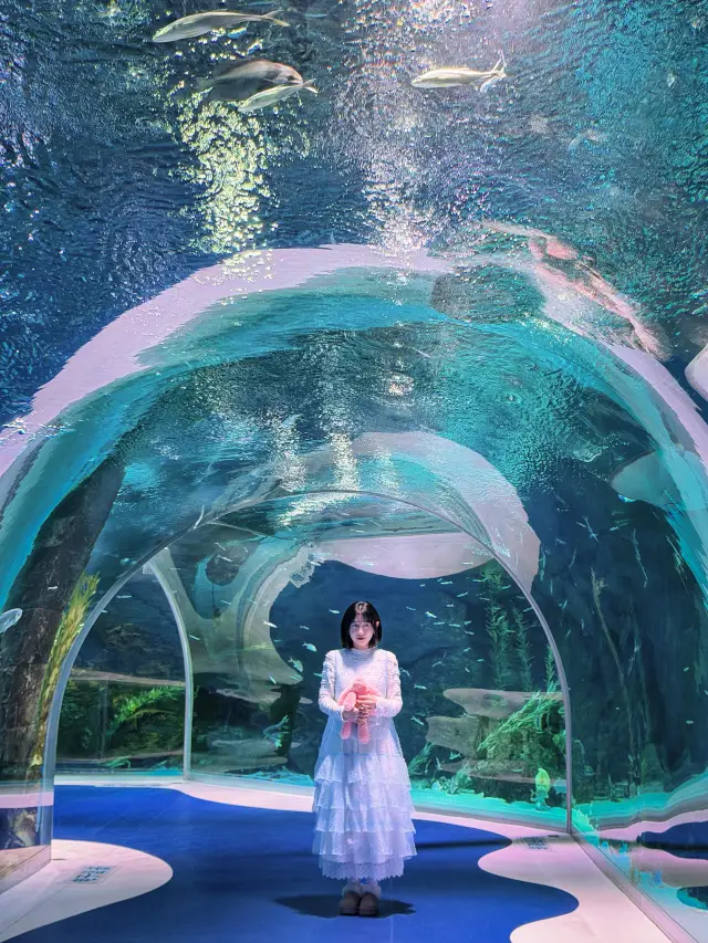 Harbin | Had a blue dream under the sea