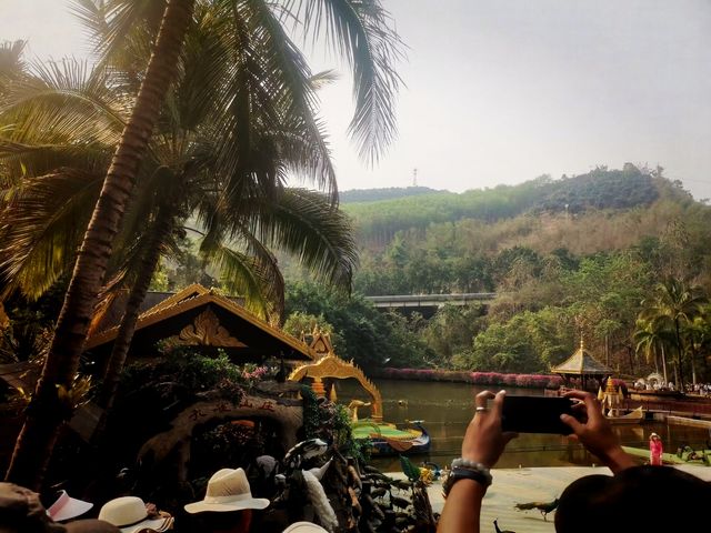 西雙版納原始森林公園