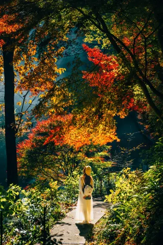 11.30實拍京都楓葉難民可以來這裡！