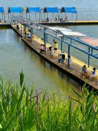 快樂週末新玩法