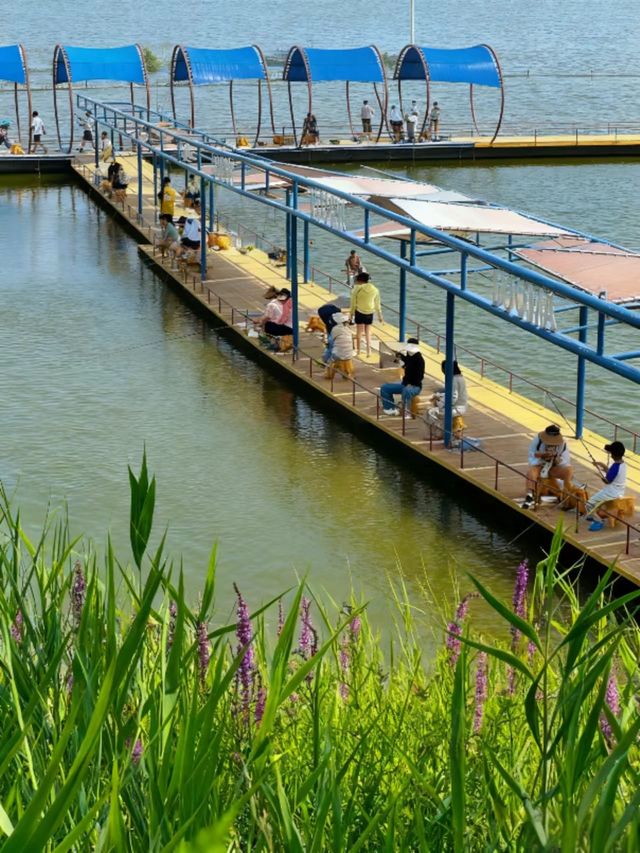 快樂週末新玩法 快樂週末新玩法