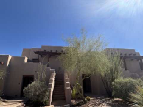 沙漠中的奢華綠洲