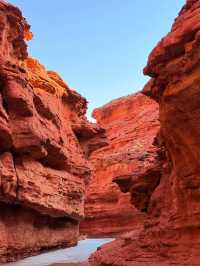 高鐵開通前衝!烏海這顆西北遺珠,沙海共生美到窒息