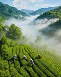 紫陽保姆級攻略帶你遊玩絕美景點