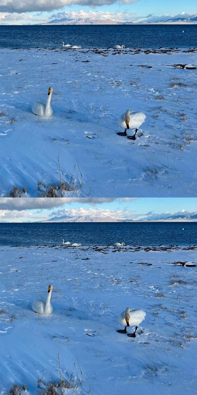 說真的!冬天的賽里木湖才是極致浪漫 說真的!冬天的賽里木湖才是極致浪漫