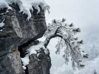 雪_石林華鎰山_四川廣安