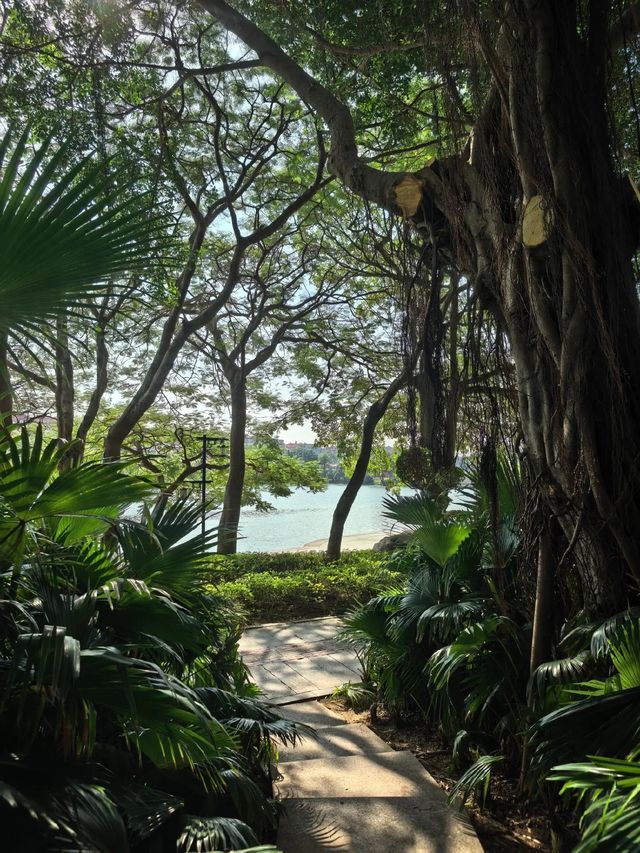 秘境小徑探湖之旅