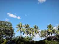 中國科學院西雙版納熱帶植物園真的太寶藏了，必須安利給大家