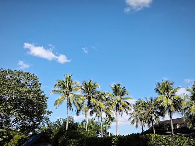 中國科學院西雙版納熱帶植物園真的太寶藏了，必須安利給大家