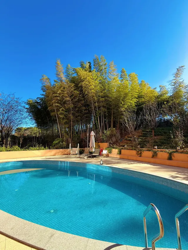 南山竹海一日遊|住進竹林裡的美學民宿 南山竹海一日遊|住進竹林裡的美學民宿