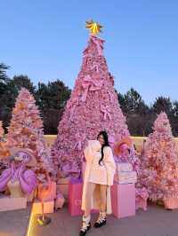 長春聖誕頂流｜西西里莊園的粉色浪漫暴擊