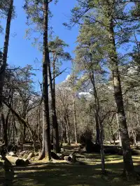 雲南7天6晚solotrip repo