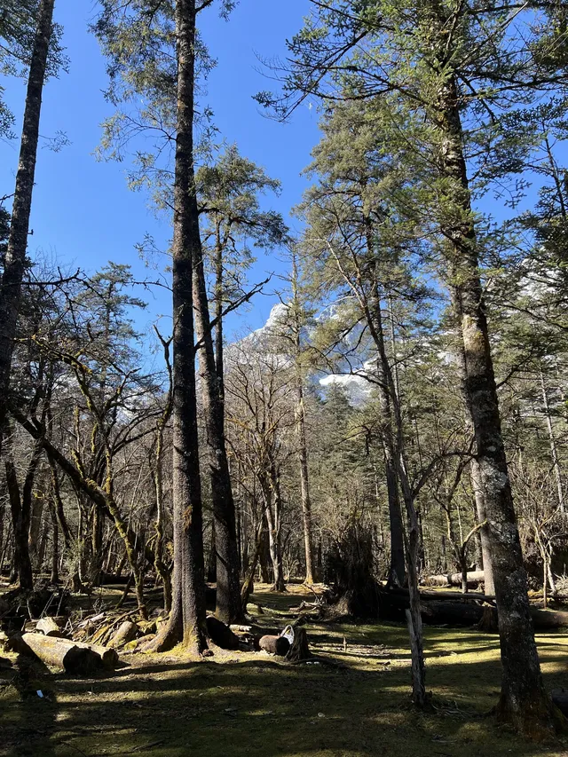 雲南7天6晚solotrip repo 雲南7天6晚solotrip repo