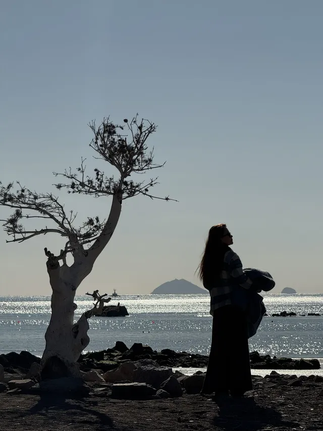 來青島一定不能錯過,這條sea walk路線!原圖 來青島一定不能錯過,這條sea walk路線!原圖