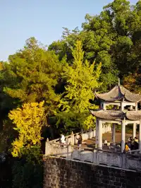 重慶寶藏地，0元闖進秋日禪意天堂