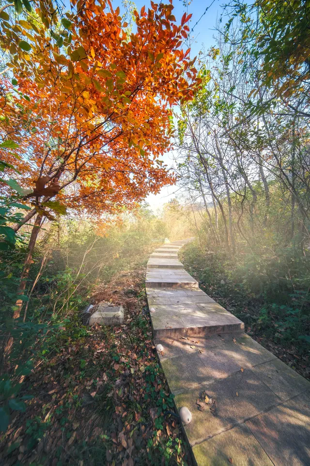 可以從晨霧中醒來的山居生活 可以從晨霧中醒來的山居生活