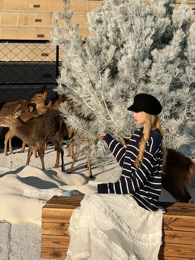 青島新晉拍照地！！聖誕一定要去的𓍯⋆𓏰