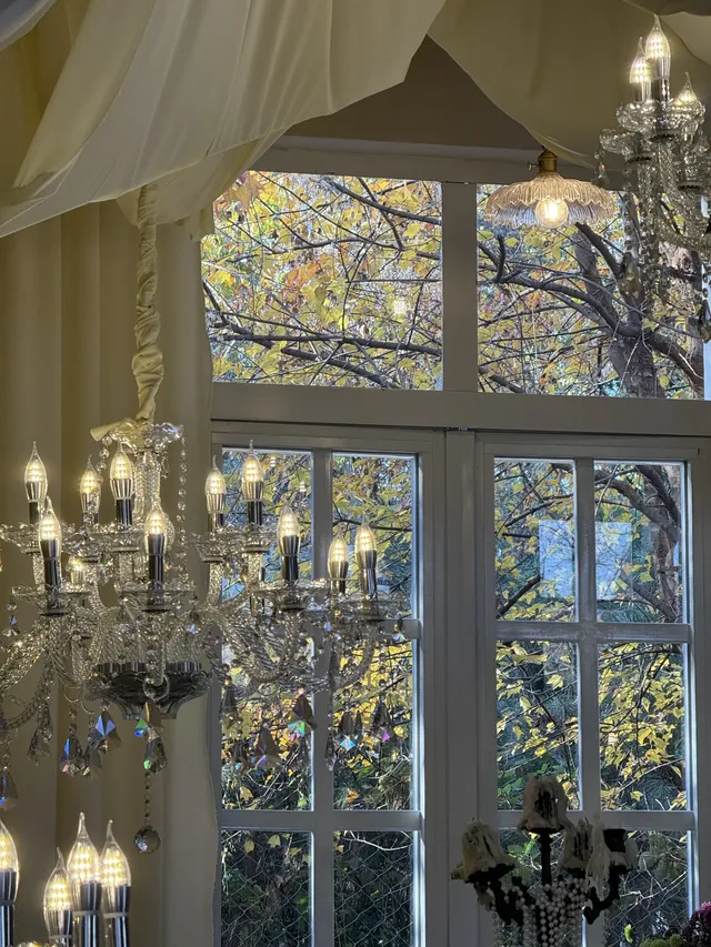 真的不是童話世界！在湖州吳興！5G過聖誕