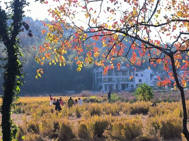 水墨宏村深度遊這份不走回頭路的懶人攻略必須碼住！