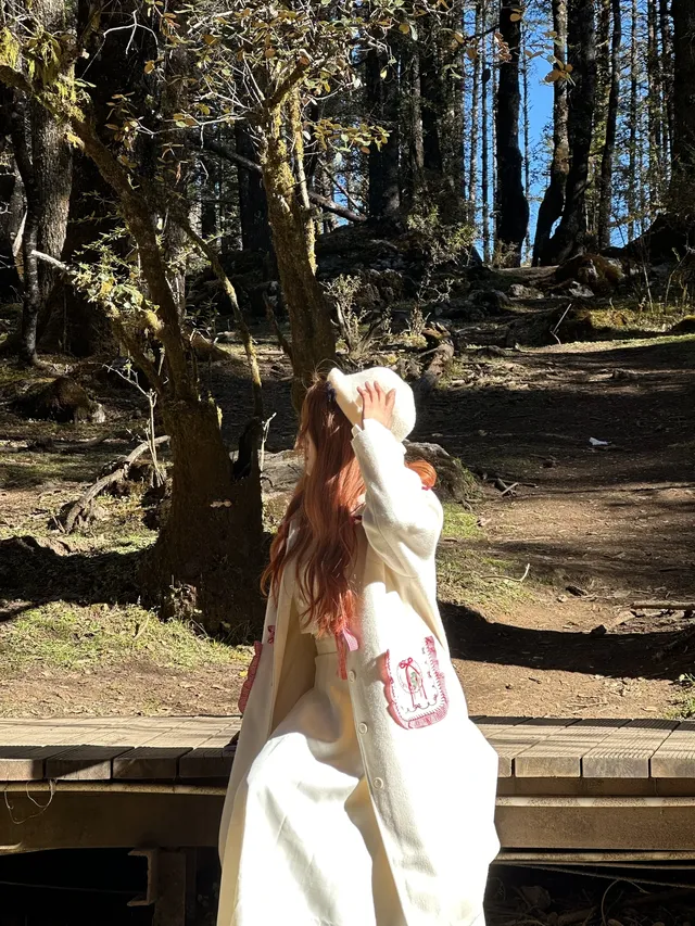 玉龍雪山雲杉坪藍月谷一日遊來了