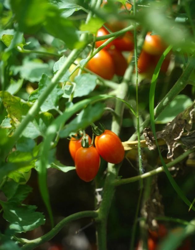 音樂遇見民宿,7 間房藏著 7 種浪漫 音樂遇見民宿,7 間房藏著 7 種浪漫