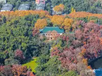 快衝!聽濤的彩林已經美到詞窮!