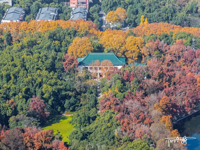 快衝!聽濤的彩林已經美到詞窮! 快衝!聽濤的彩林已經美到詞窮!