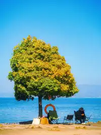 浪漫是大理的常態🩵