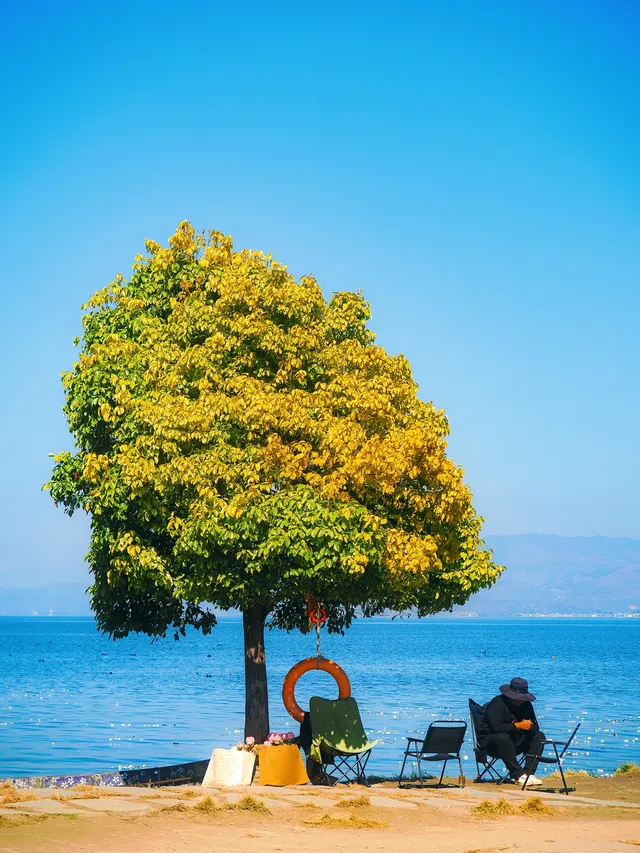 浪漫是大理的常態🩵 浪漫是大理的常態🩵