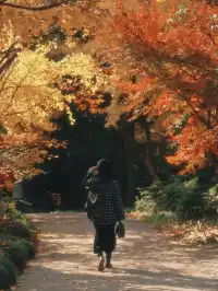 12.6共青森林公園橙黃橘綠時(附路線)