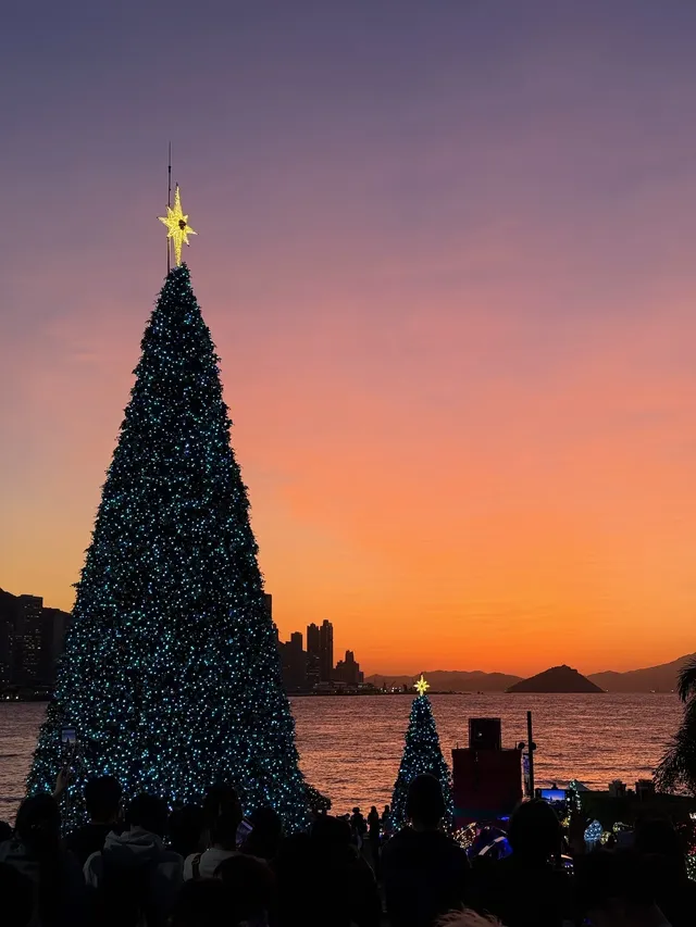 香港8小時拍完漂亮聖誕樹(挑戰成功版!) 香港8小時拍完漂亮聖誕樹(挑戰成功版!)