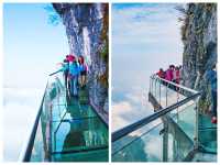 雙玻奇觀 + 鳳凰夜景