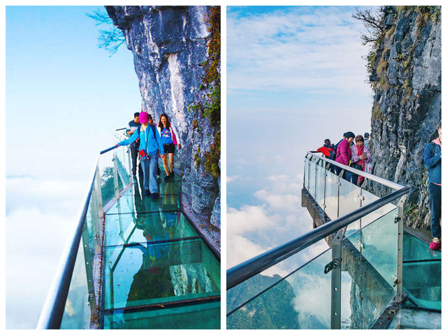 雙玻奇觀 + 鳳凰夜景