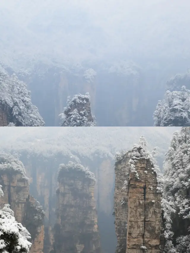 방금 장가계에서 돌아왔는데, 좀 솔직한 이야기를 하자면